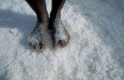 Low section of person walking on snow covered field