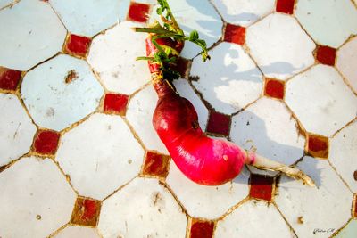 High angle view of fruits on floor