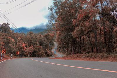 Road amidst trees against sky during autumn