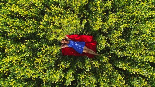 Woman with red umbrella standing on tree