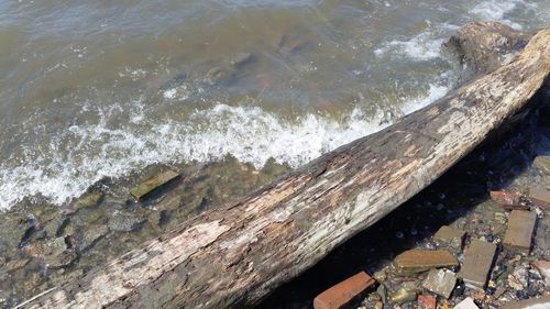 Close-up high angle view of water