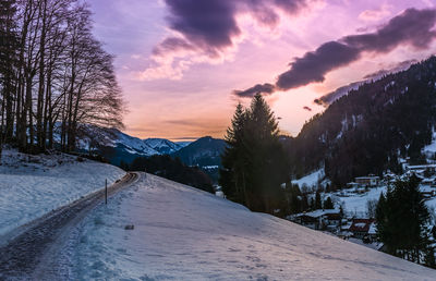 Snow covered road amidst trees against sky during sunset