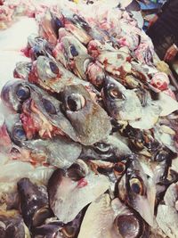 Close-up of fish for sale at market stall