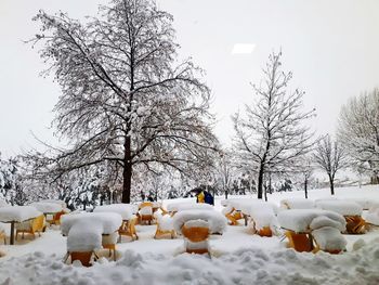 Snow covered field against sky