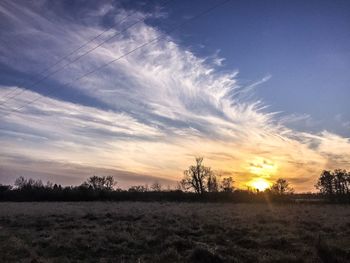 Silhouette trees against sky during sunset