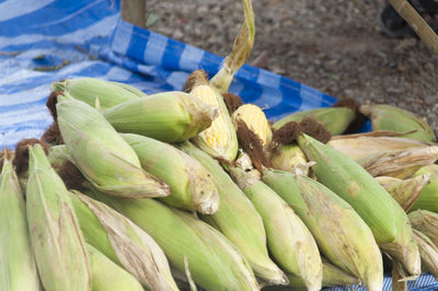 Close-up of vegetables for sale