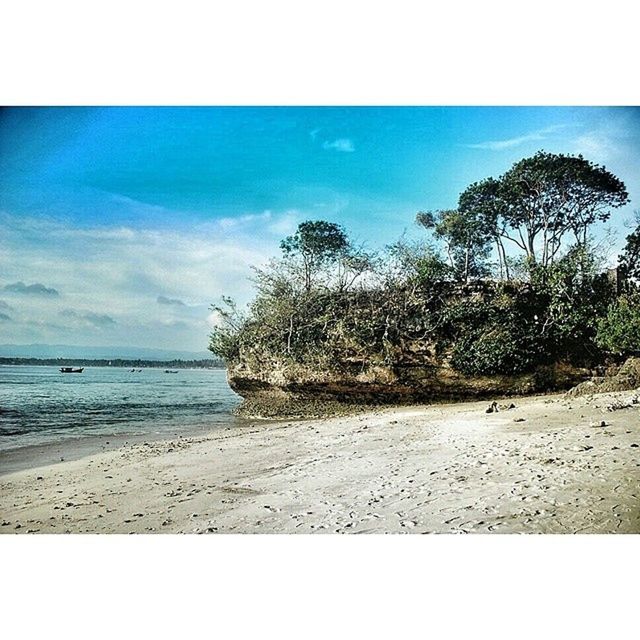 transfer print, sea, beach, water, sky, horizon over water, auto post production filter, shore, tree, sand, tranquil scene, tranquility, scenics, beauty in nature, nature, palm tree, coastline, blue, day, outdoors