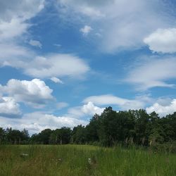 Scenic view of field against sky