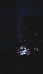 Low angle view of silhouette trees against sky at night