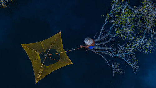 Close-up of spider web