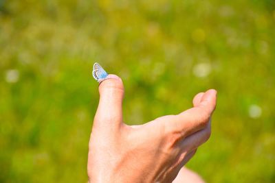 Close-up of human hand against blurred background