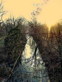 View of bare trees at sunset