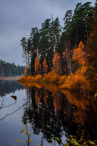 Reflection of trees in lake during autumn