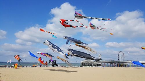 Low angle view of kites flying over beach against sky