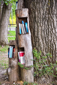 Close-up of birdhouse on tree trunk in forest