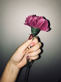 Close-up of hand holding rose against wall