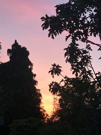 Low angle view of silhouette trees against sky at sunset