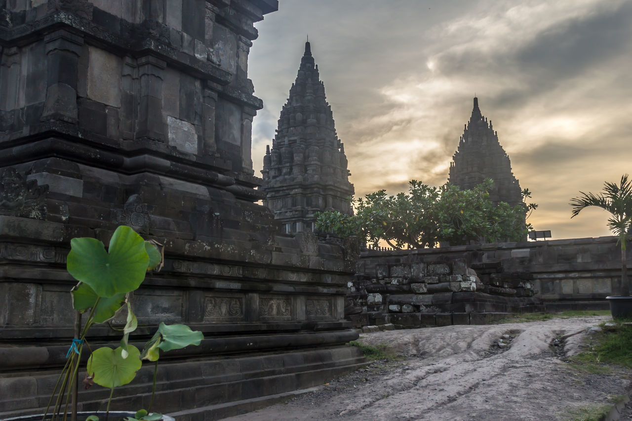 PLANTS AGAINST TEMPLE