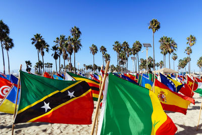 Multi colored flags on palm trees against blue sky