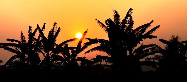 Silhouette trees against sky during sunset