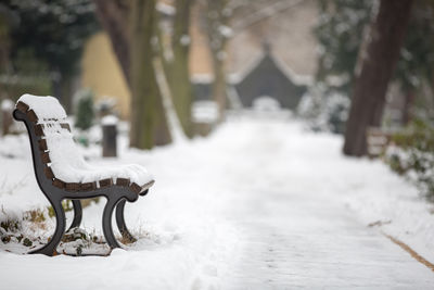 Snow covered bench at footpath