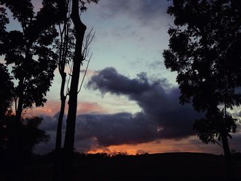 Silhouette trees against dramatic sky
