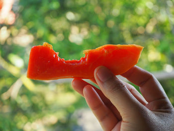 Close-up of hand holding strawberry