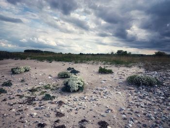 Scenic view of land against sky