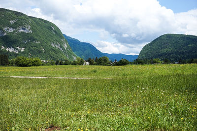 Scenic view of field against sky