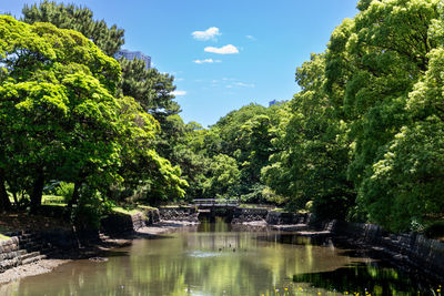 Scenic view of lake by trees against sky