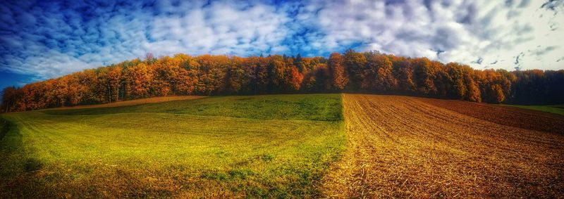 Scenic view of field against sky during autumn