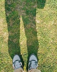 Low section of person standing on grassy field