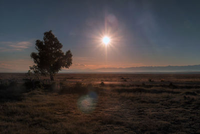 Scenic view of field against sky during sunset