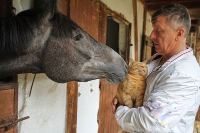 Side view of mature man carrying cat by horse in stable