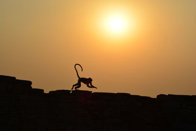 Silhouette monkey jumping on wall against orange sky