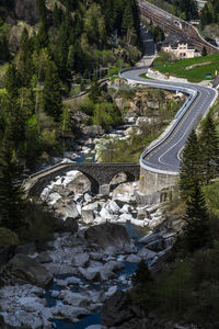 High angle view of road amidst trees