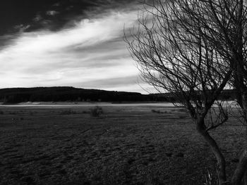 Scenic view of landscape against cloudy sky