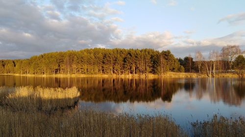 Scenic view of lake by trees against sky