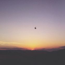 Silhouette of landscape at sunset