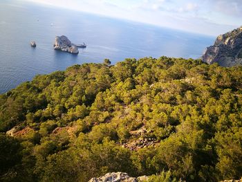 High angle view of sea and trees against sky