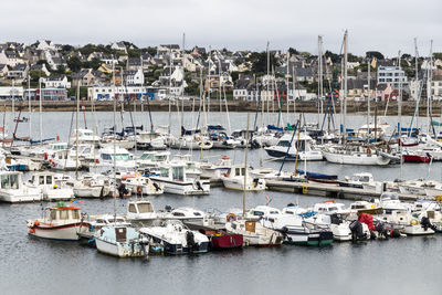 Sailboats moored in harbor