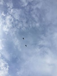 Low angle view of birds flying in sky