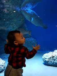 Rear view of boy standing by fish tank in aquarium