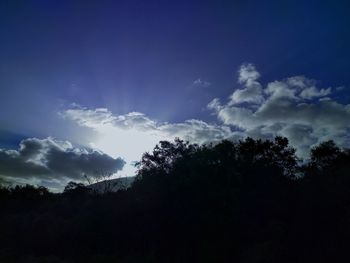 Low angle view of silhouette trees against sky