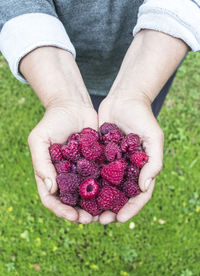 Close-up of hand holding strawberries