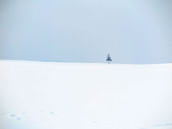 Scenic view of snow covered land