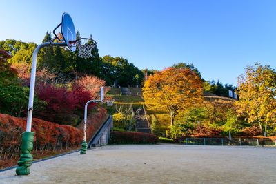 Plants by trees against sky during autumn