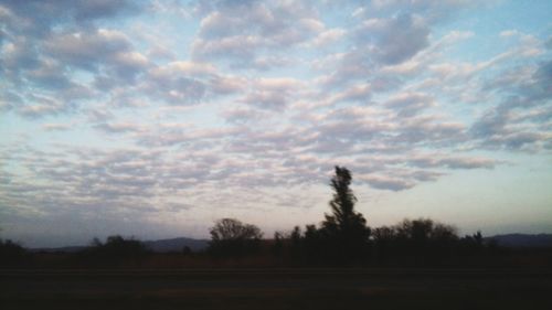 Silhouette trees on landscape against cloudy sky