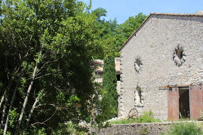 Trees and building