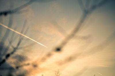 Low angle view of vapor trail in sky